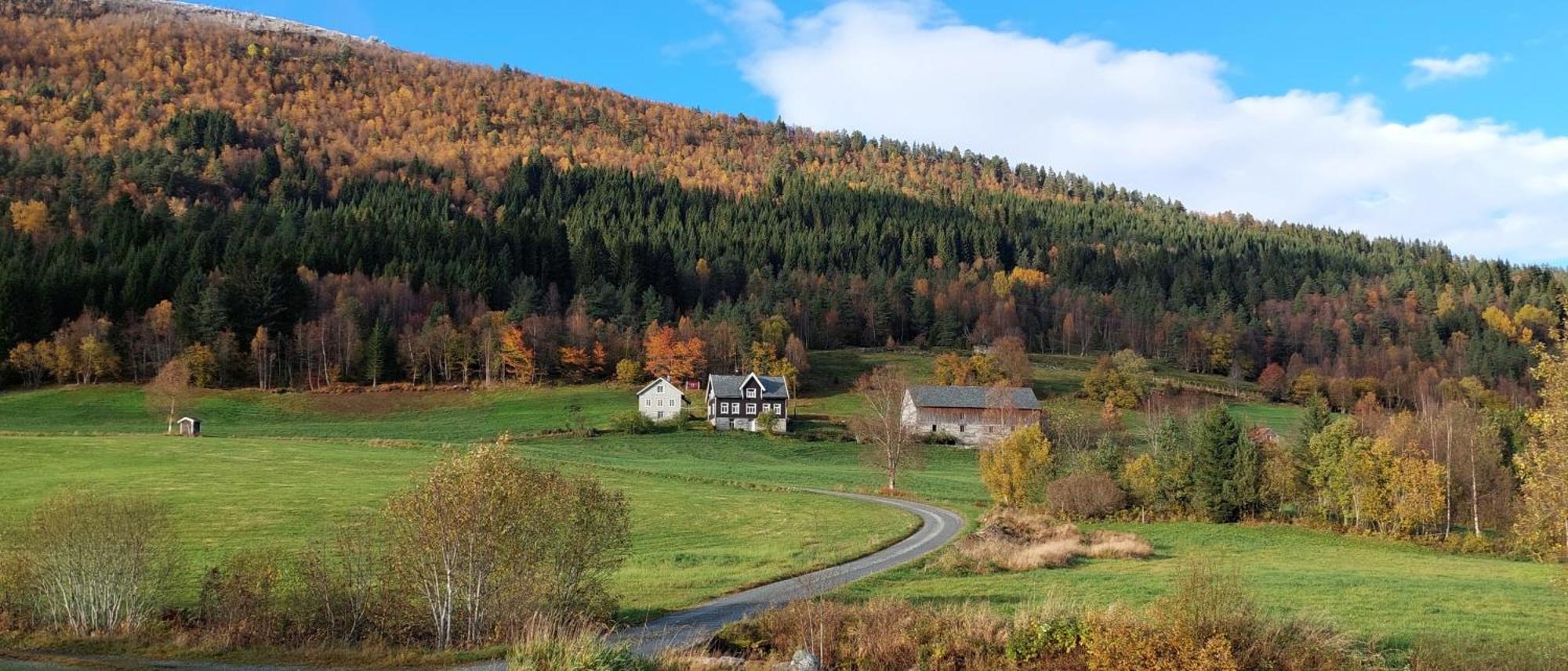 Heggjabygda Gjestegard - Historisk Tommerhus I Landlige Omgivelser Nordfjordeid Luaran gambar